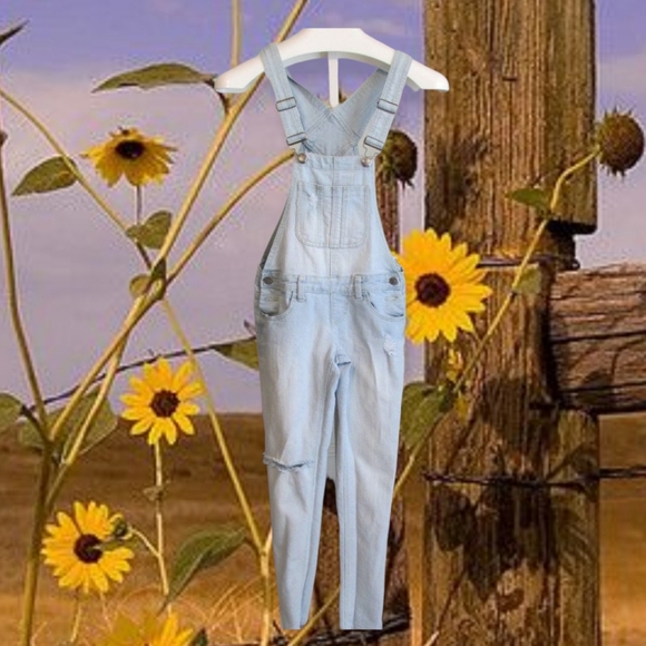 Distressed Overalls - Picture 2 of 5